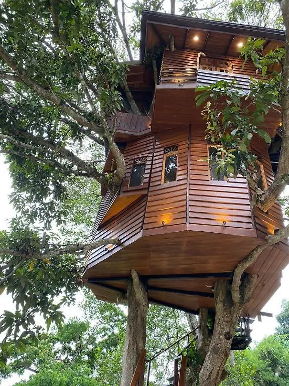 Kandy Tree House 3*,  سريلانكا